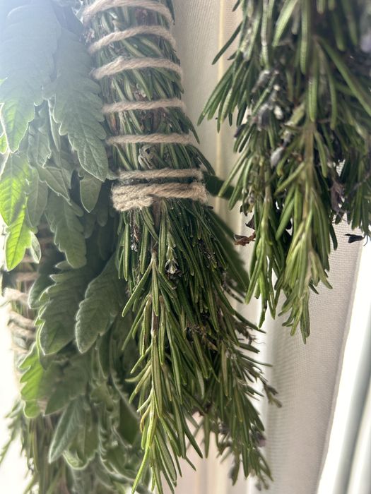 Tochas de Arruda, Alecrim, Alfazema, Boldo