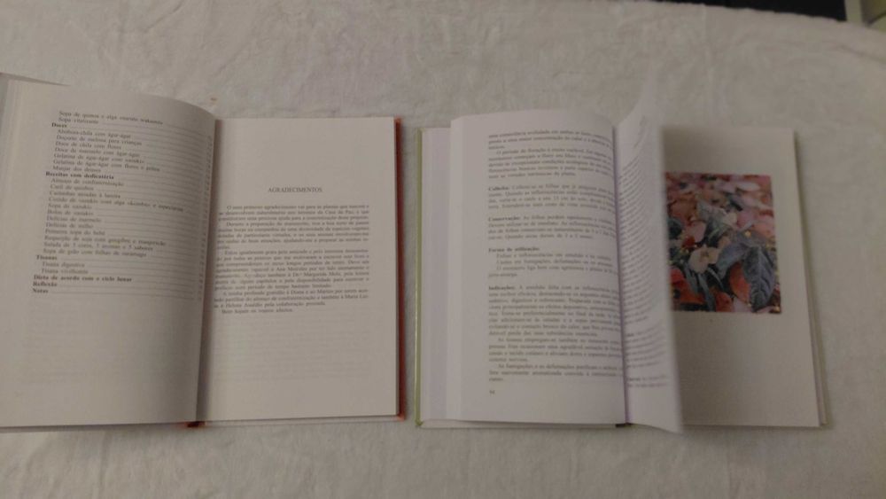 Pacote com 2 livros de Zélia Sakai do Circulo de Leitores