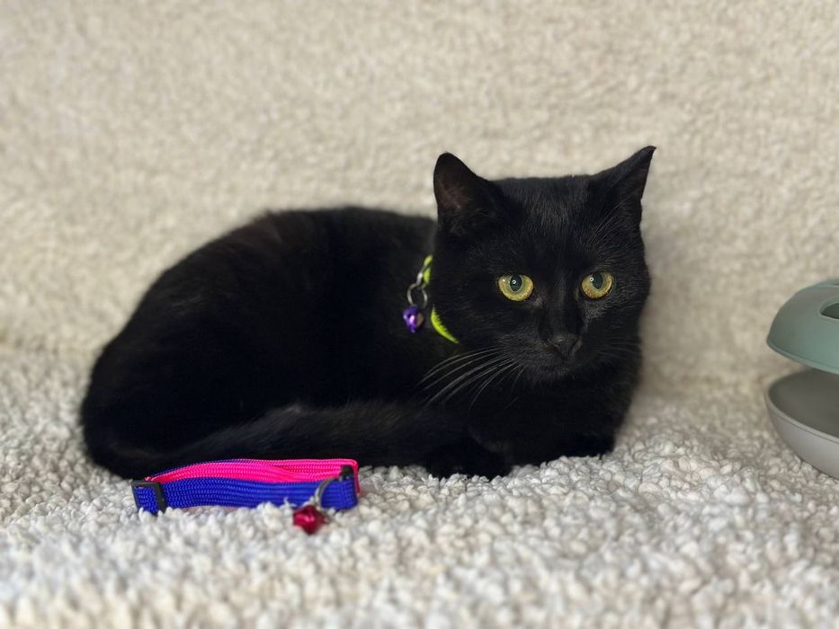 Мамо,знайдись,я тебе дуже чекаю!