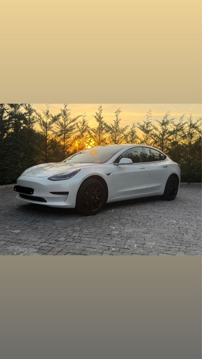 Tesla model 3 2019