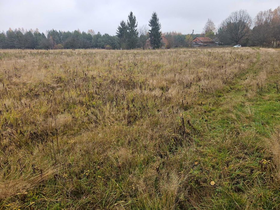 Działki na sprzedaż Trzeboś