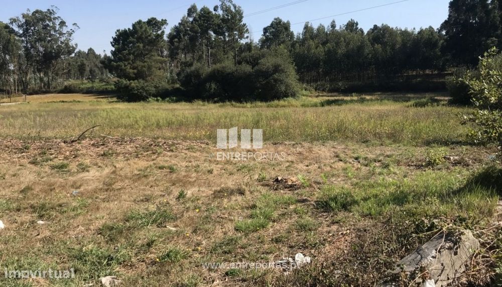 Venda de Terreno agrícola com poço, Barqueiros, Barcelos — Estela, Porto