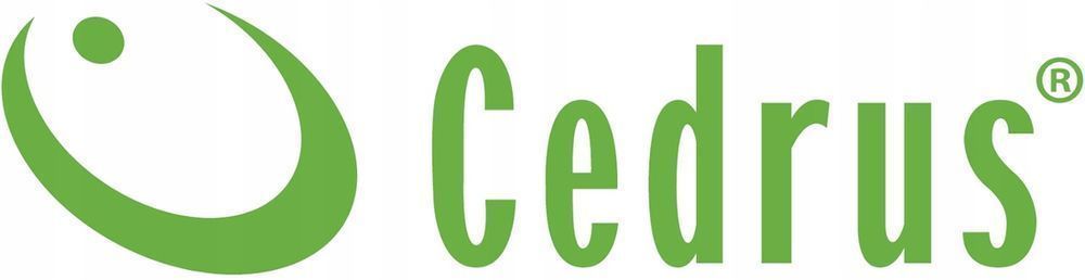 Cedrus In1000R Agregat Generator Inwertorowy Prądotwórczy Inwerterowy