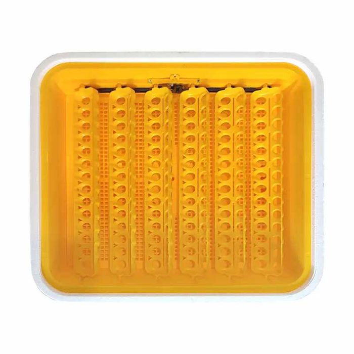 Інкубатор автоматичний Теплуша 88 AQUA (220/12в)