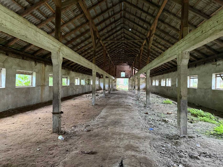 Виробниче приміщення, нежитлове приміщення, телятник, ферма