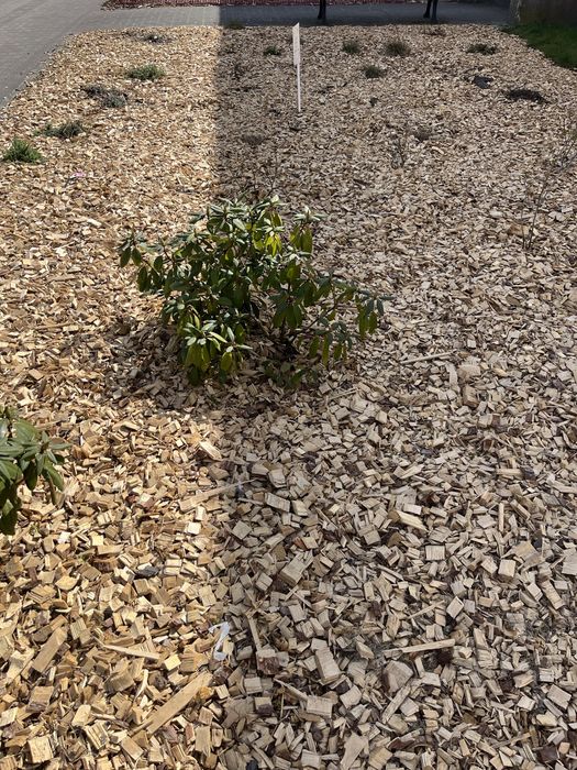 Kora ogrodowa sosnowa bigbag sortowana zrębka worek