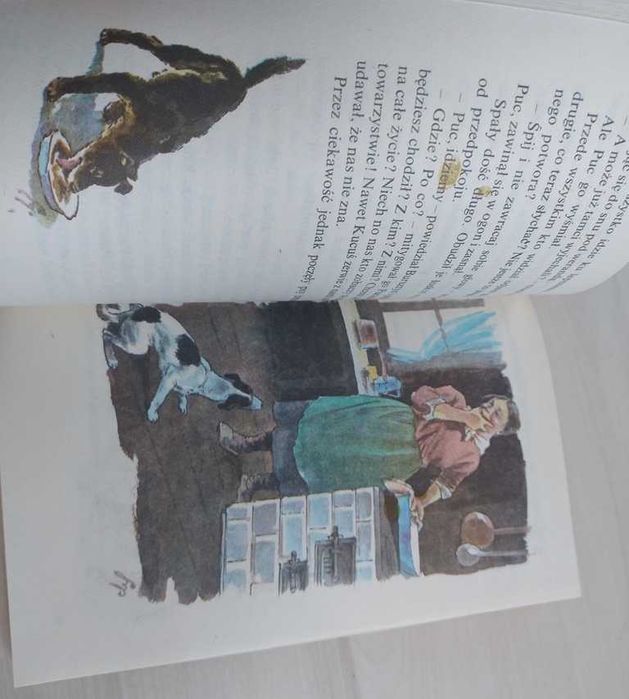 Puc Bursztyn i goście Jan Grabowski świetna książka dla dzieci