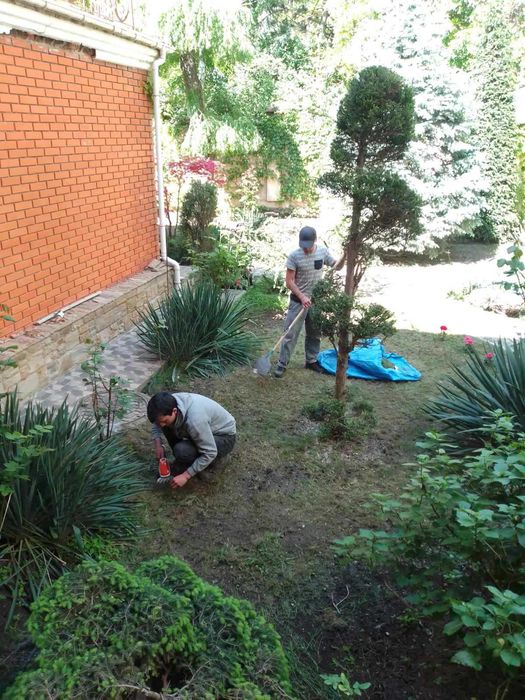 Садовник.Обрезка сада обработка от вредителей.