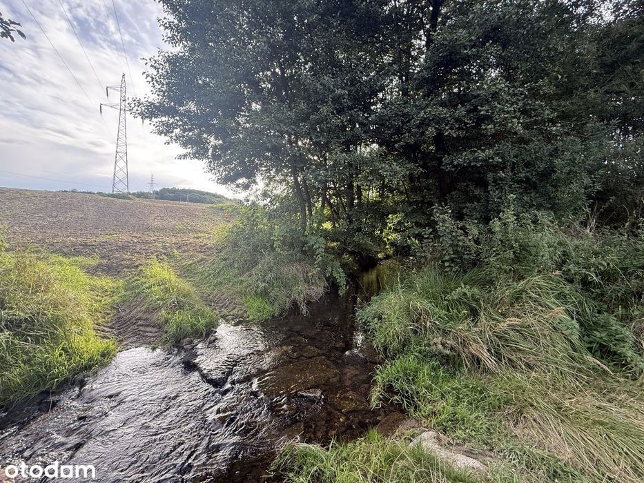 Działka 2,12 ha , Szalejów Górny , Wolany ,Polanica Zdrój , Kłodzko - Więcej