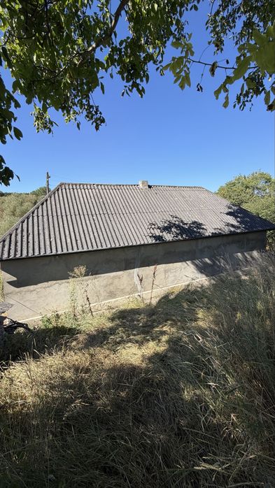 Будинок в селі біля Дністра