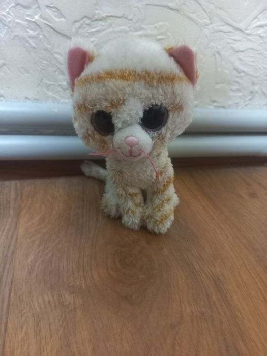 Котик полосатий з великими очима