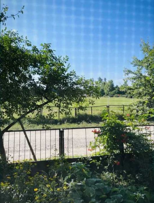 Пропоную до продажу 3  кімнатну квартиру.