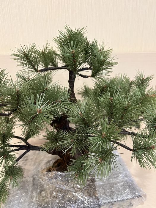 Ялинка  штучна сосна бонсай