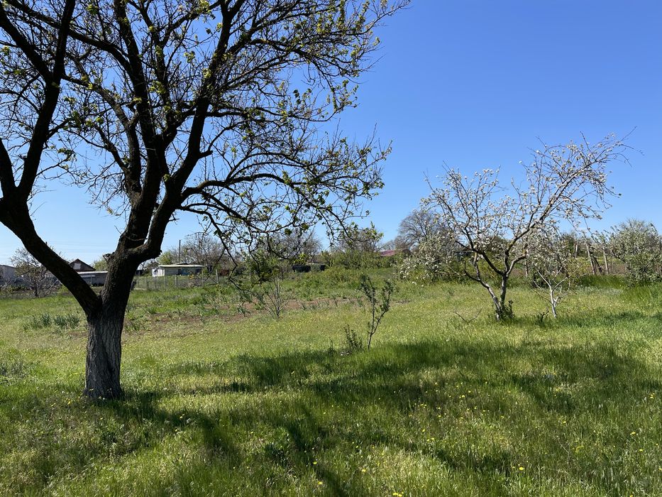 Продаж будинку  (Березанка Миколаївська область )