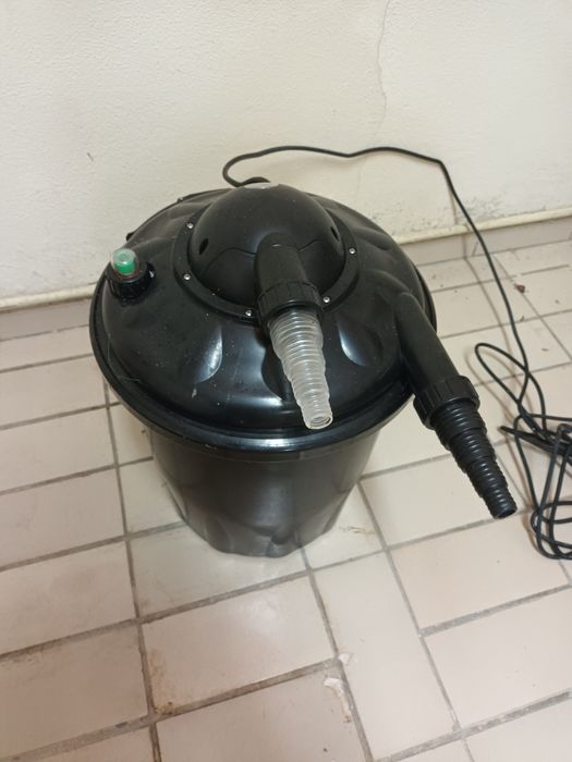 Tanques aquario peixes