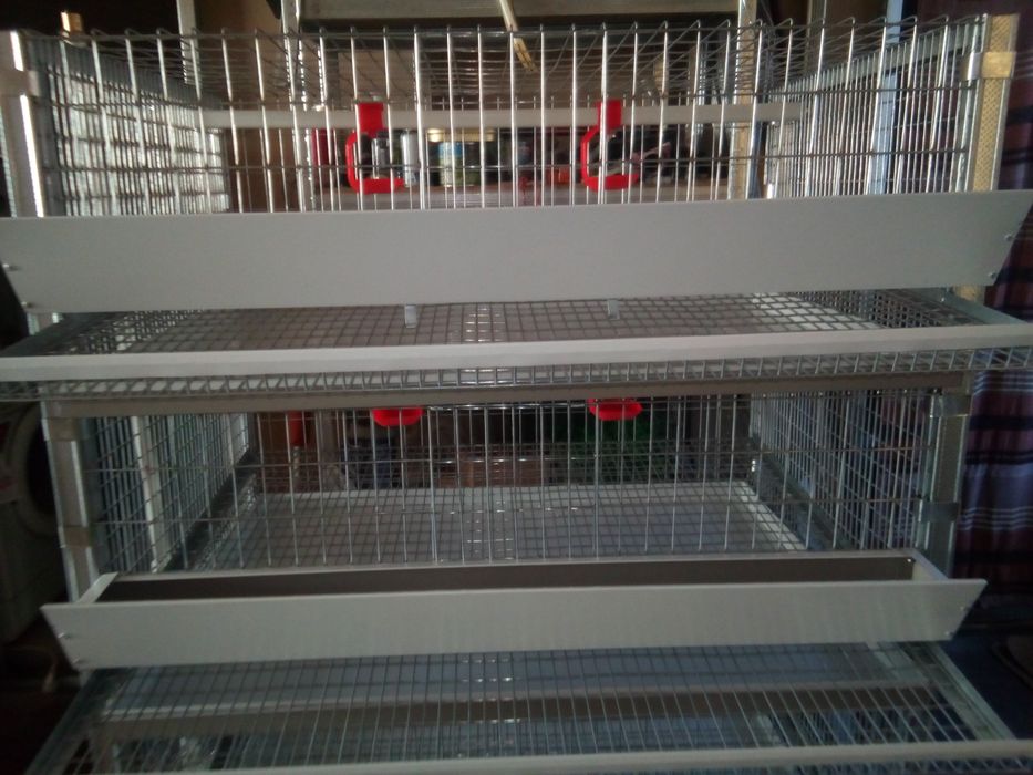 Клвтки для перепелів (Оплата частинаии)