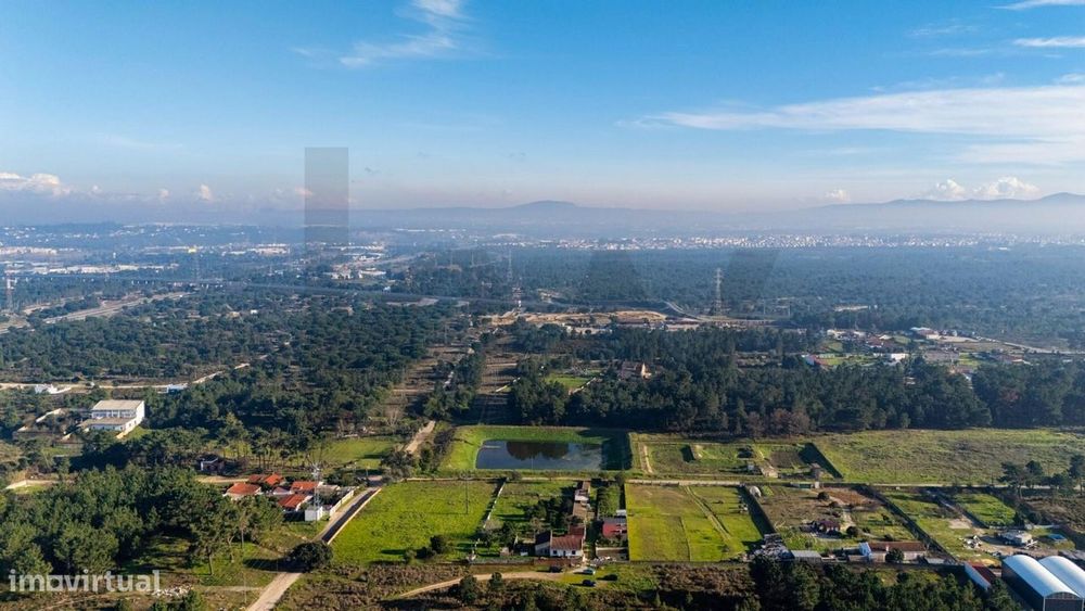 Quinta D. Maria Luísa – Um Refúgio Único entre a Natureza e a Cidade