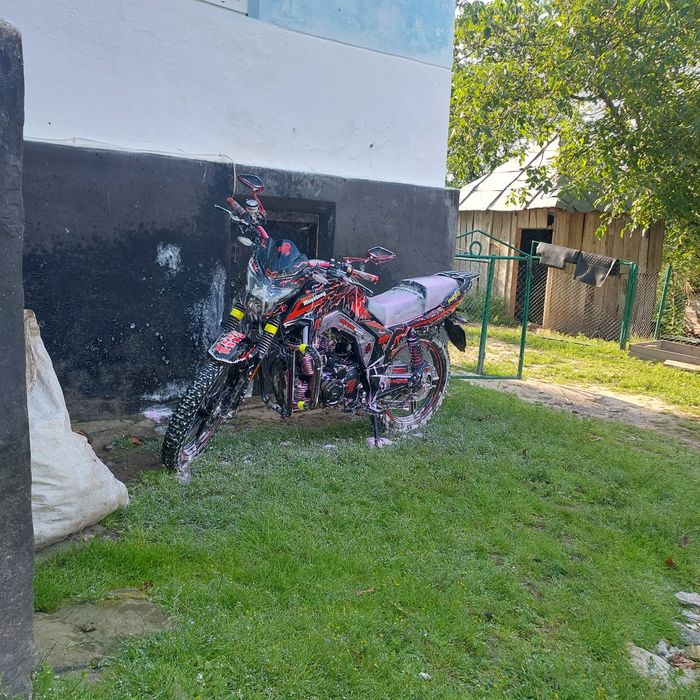 Продам мустанг регіон мт250