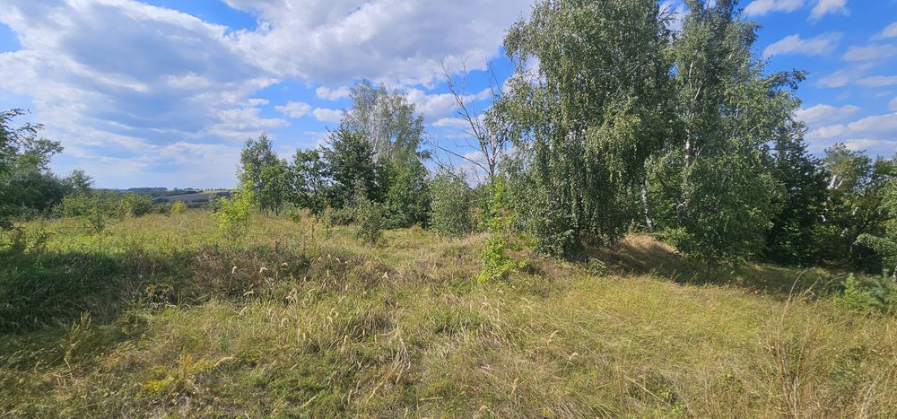 Інвестиція!!!земельна ділянка під житлову забудову 2,5га ,Рославичі