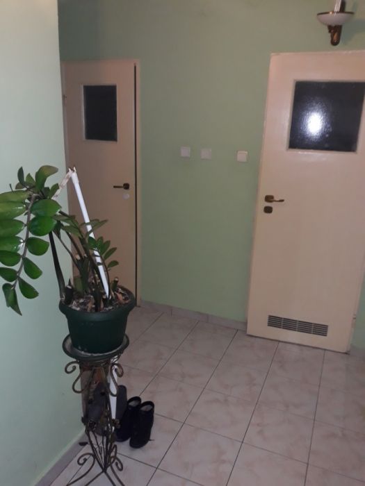 800miesiąc/osoba, tylko kobiety