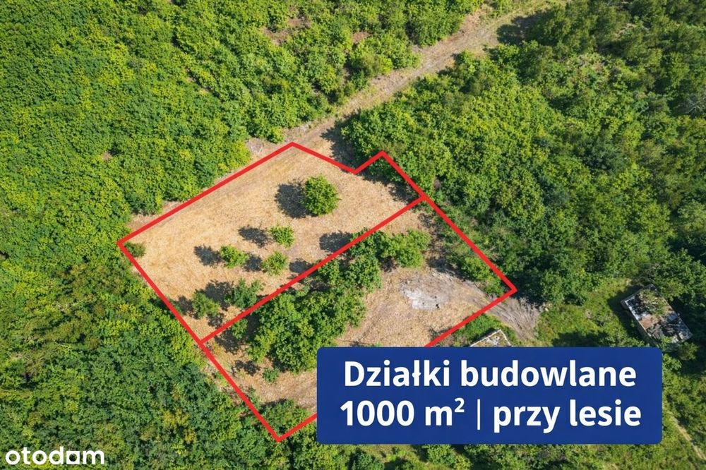 Działki budowlane 1000 m²|MPZP|Skotniki|Przy lesie|