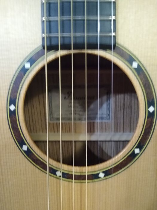 Gitara Dowina Marus d