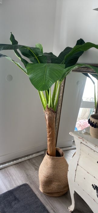 Vaso para planta novo com eriqueta
