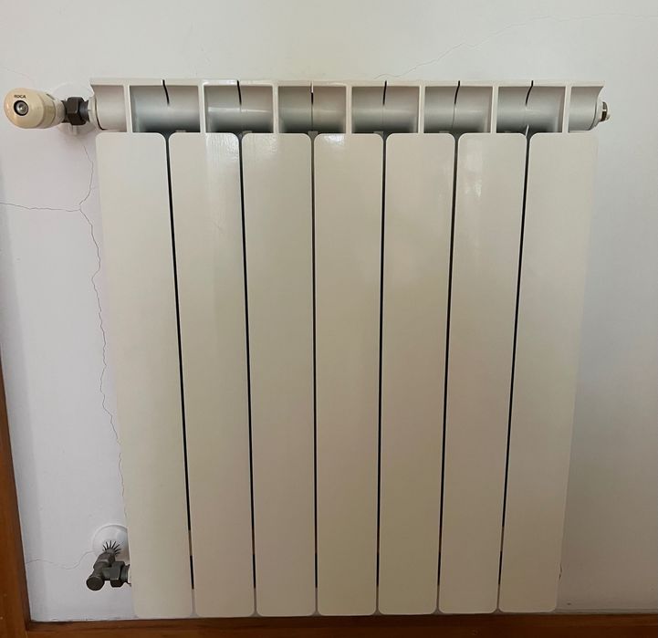 Radiador Roca (8 elementos)