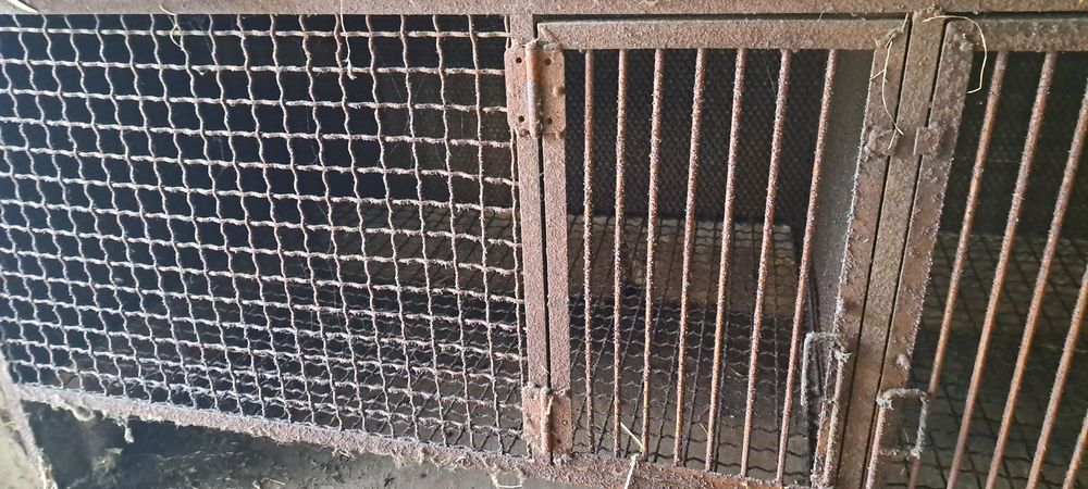 Клітки для нутрій і кролів