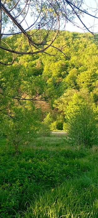 Продам ділянку у рекі Пеня Солочин 6 соток