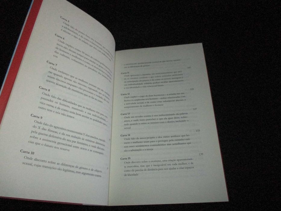 Livro A Queda dos Machos Cartas às minhas amigas José Luís Pio Abreu