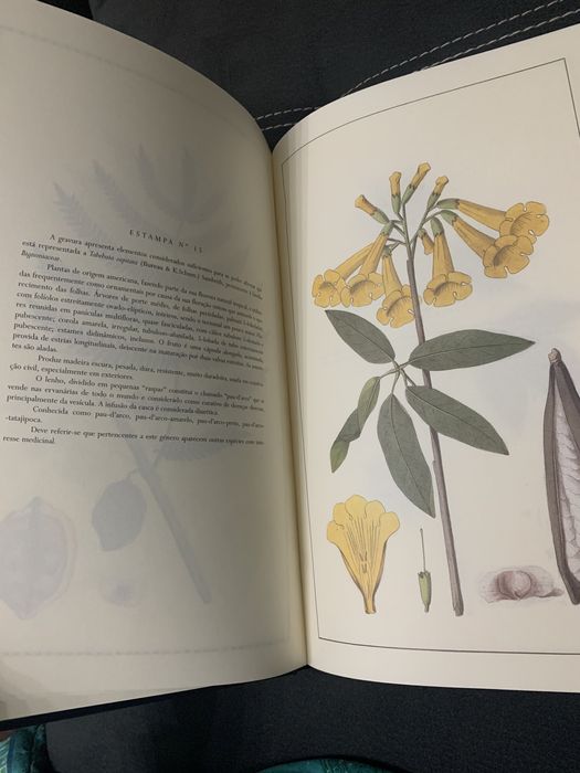 Livro NOVO- Plantas do Brasil
