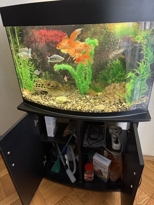 Продам акваріум, з тумбою, декараціями та рибками