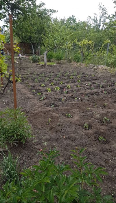 Двухэтажная дача Дальние дачи Подпорожнянка