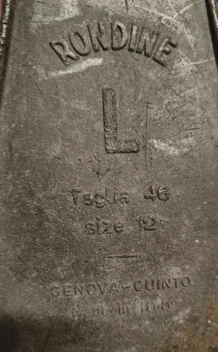 Fato de Mergulho + Barbatanas
