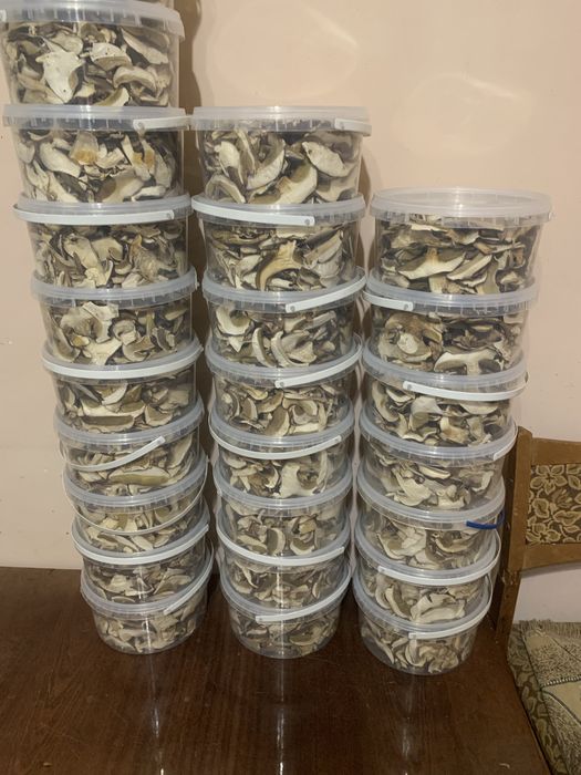 Сушені грибочки із Закарпаття