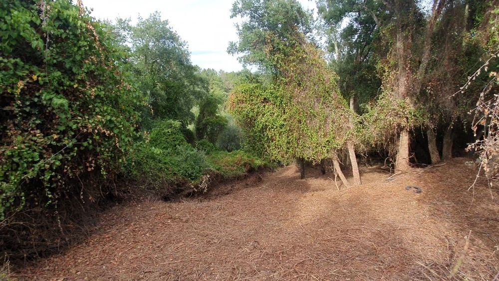 Terreno junto a Praia Fluvial de Montes (Barragem Castelo de bode)