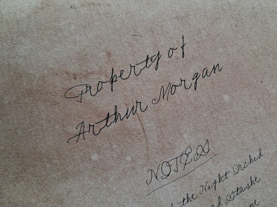 Red Dead Redemption 2 - mapa Arthura Morgana