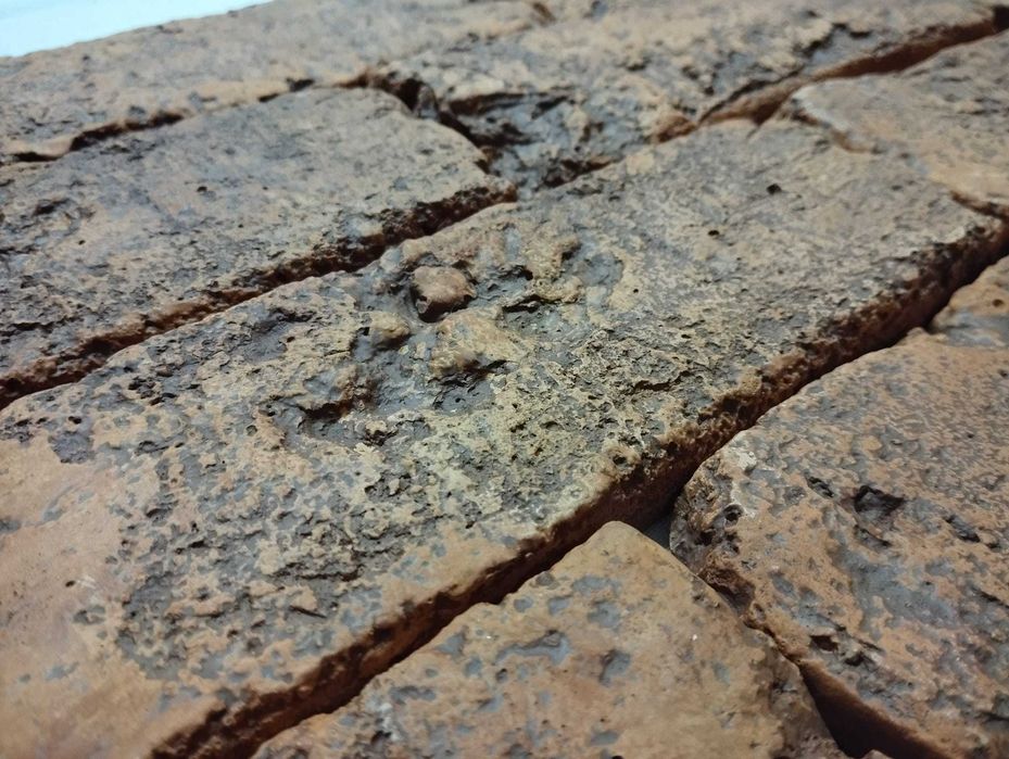 Revestimento 3d 2 Moldes Tijolo Burro