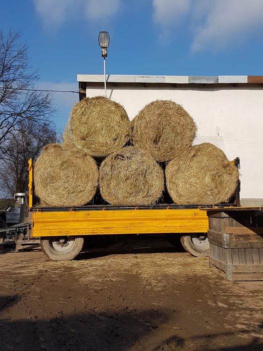 Siano w belach baloty rolki