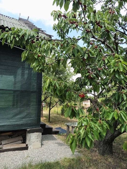 Продам земельну ділянку с будинком С.Богданівка