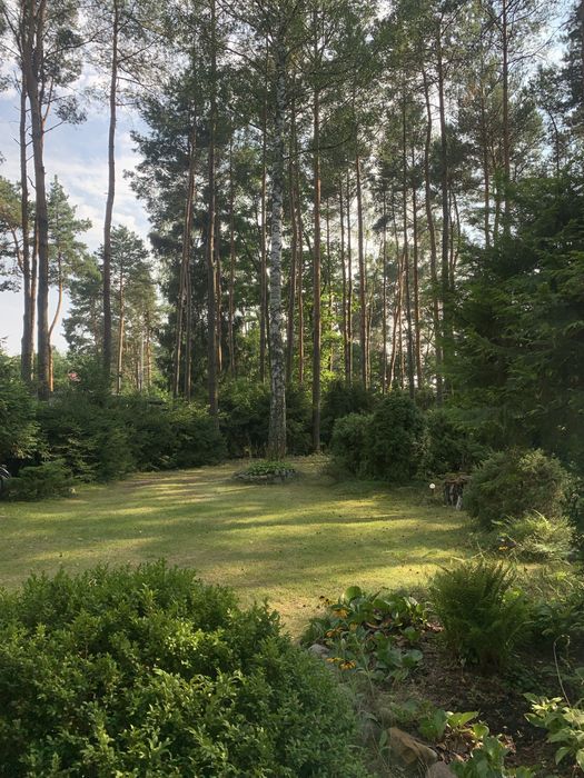 Działka budowlana 2130m2 z domkiem w lesie nad rzeką Liwiec! Stacja PKP, plaża, media. Tylko 50 min od Warszawy. Kaliska - Gmina Łochów.