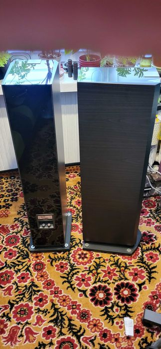Focal Chorus 826V