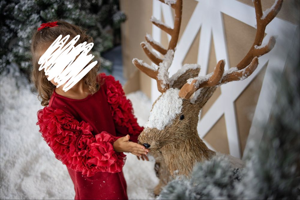 Cenário de Natal - Estábulo das Renas