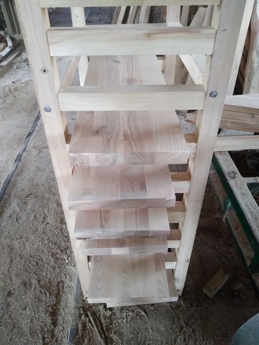 Dąb jesion trepy promocja