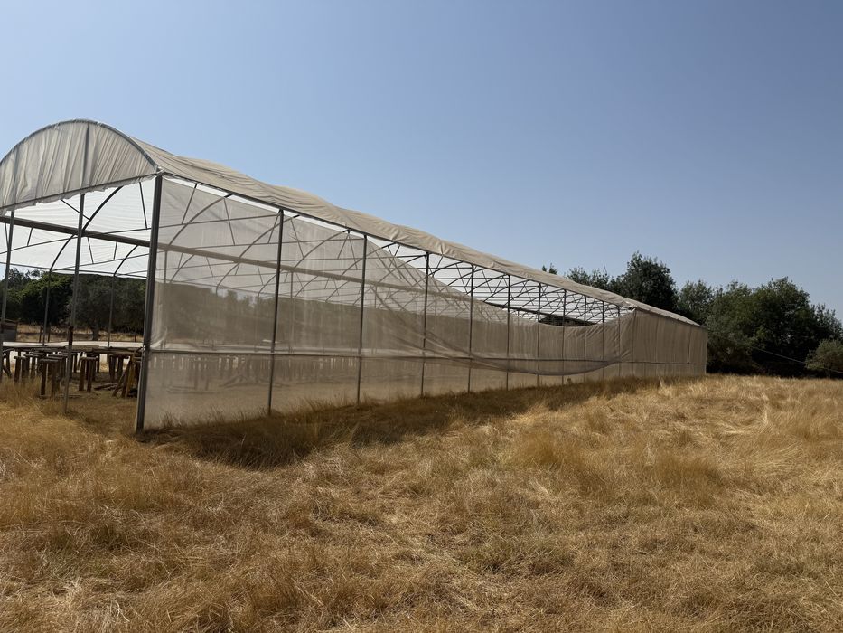 Estufa para produção agricola