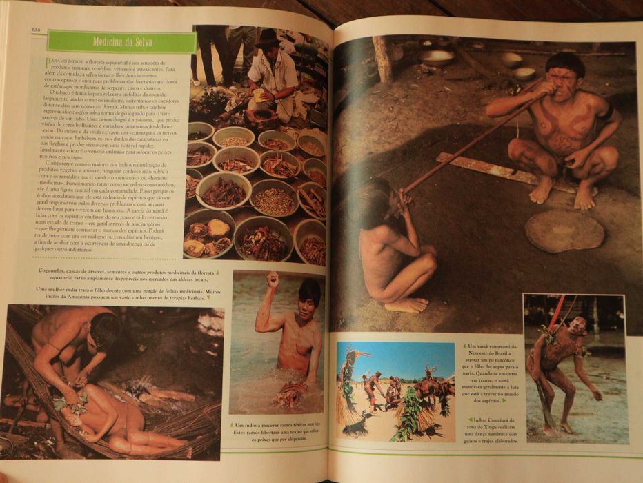 À Descoberta da Amazónia