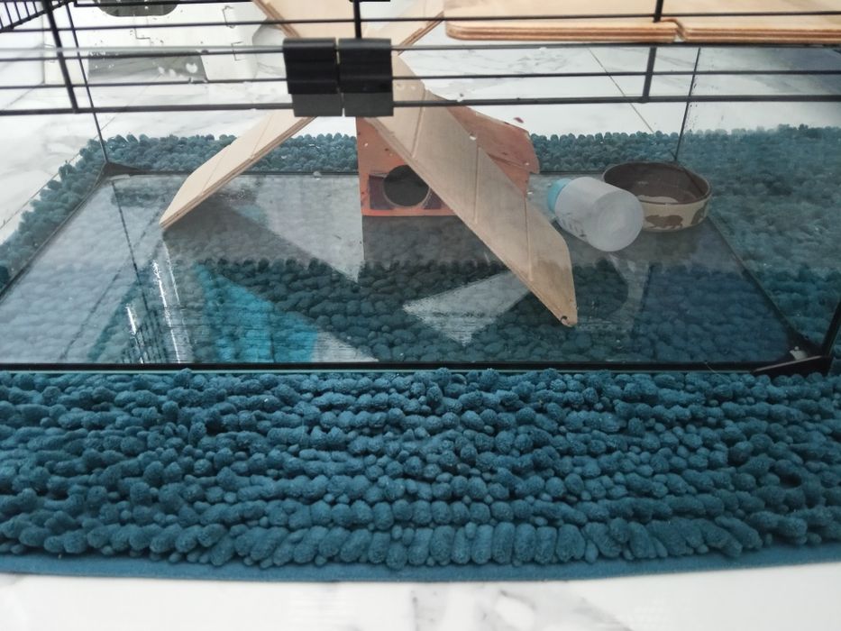 Szklana kuweta z klatką dla chomika myszki itp