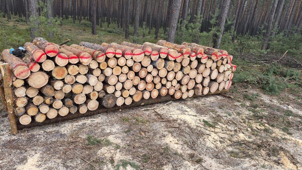 Drewno opałowe grube