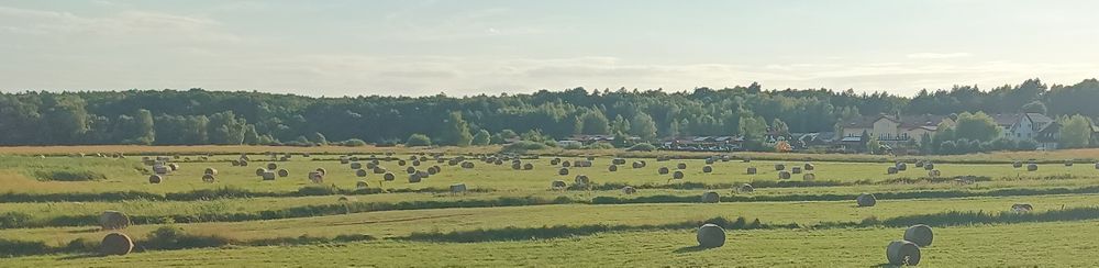 Siano owijane siatką